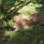 This photo might not show it well, but it is of a fox hole that was on one of the defensive perimeters near Bastogne. It’s amazing that nearly 70 years after the battle there are so many fox holes in the Ardennes Forest.